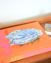 XL Blue Kyanite 4.1lbs