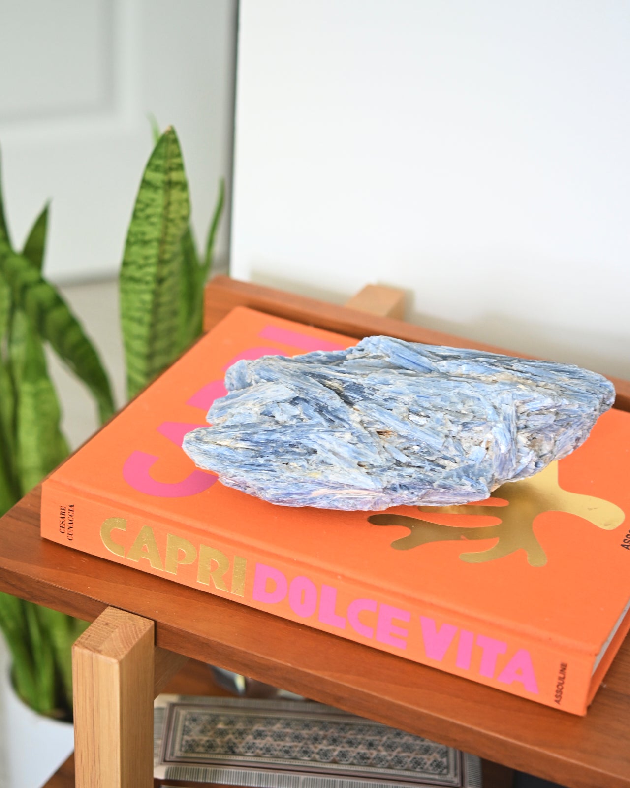 XL Blue Kyanite 5.7lbs