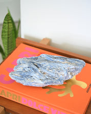 XL Blue Kyanite 5.7lbs