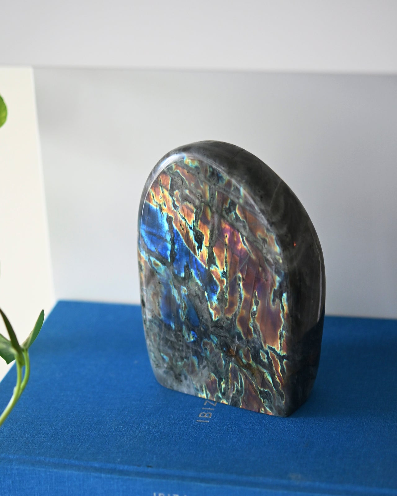 labradorite--1.902--6x4x2-1037.jpg