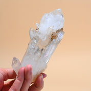 Colombian Lemurian Cluster 5 Inch