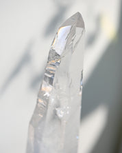 Lemurian Seed w Stand 14inch