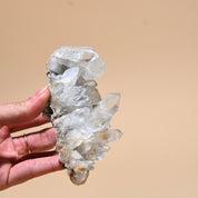 Smoky Lemurian Cluster 4 inch