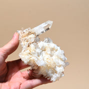 Lemurian Cluster 4 inch