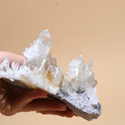 Lithium Lemurian Cluster 4 inch