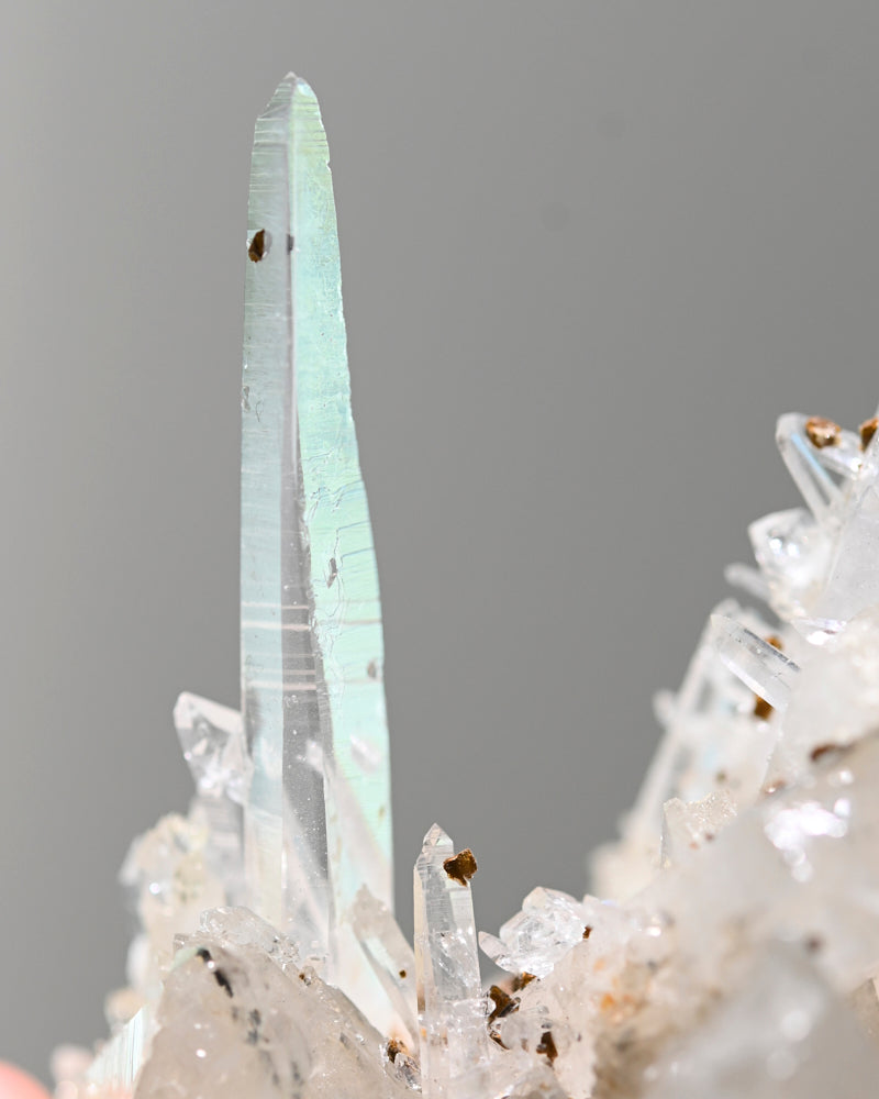 lemurian-134g--4x3--13241.jpg