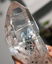 Lemurian Seed w Hematite Inclusions on Stand