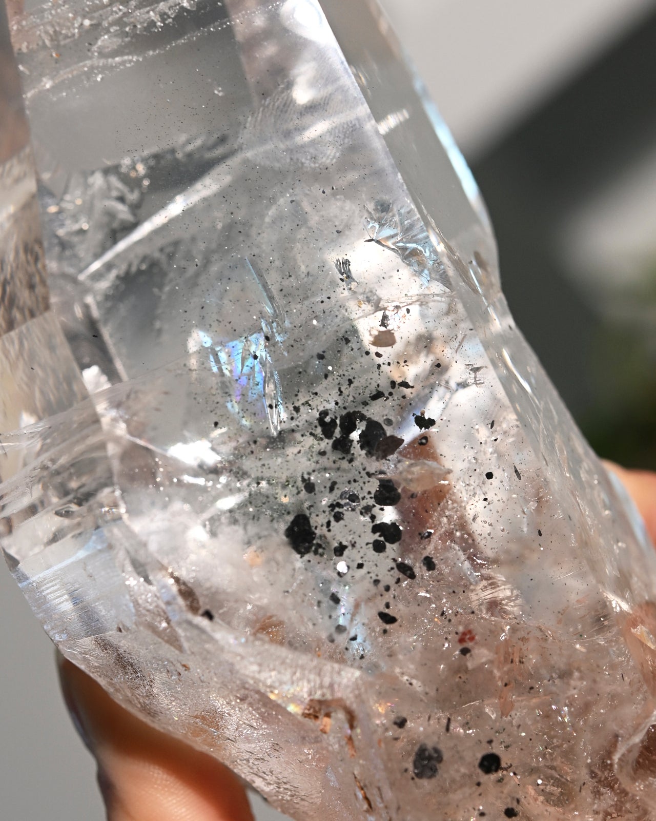 Lemurian Seed w Hematite Inclusions on Stand