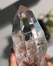 Lemurian Seed w Hematite Inclusions on Stand