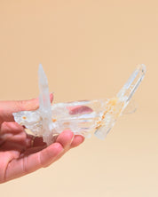 Lemurian Cluster