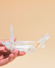 Lemurian Cluster