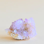 Mini Amethyst Spirit Cactus Quartz Cluster