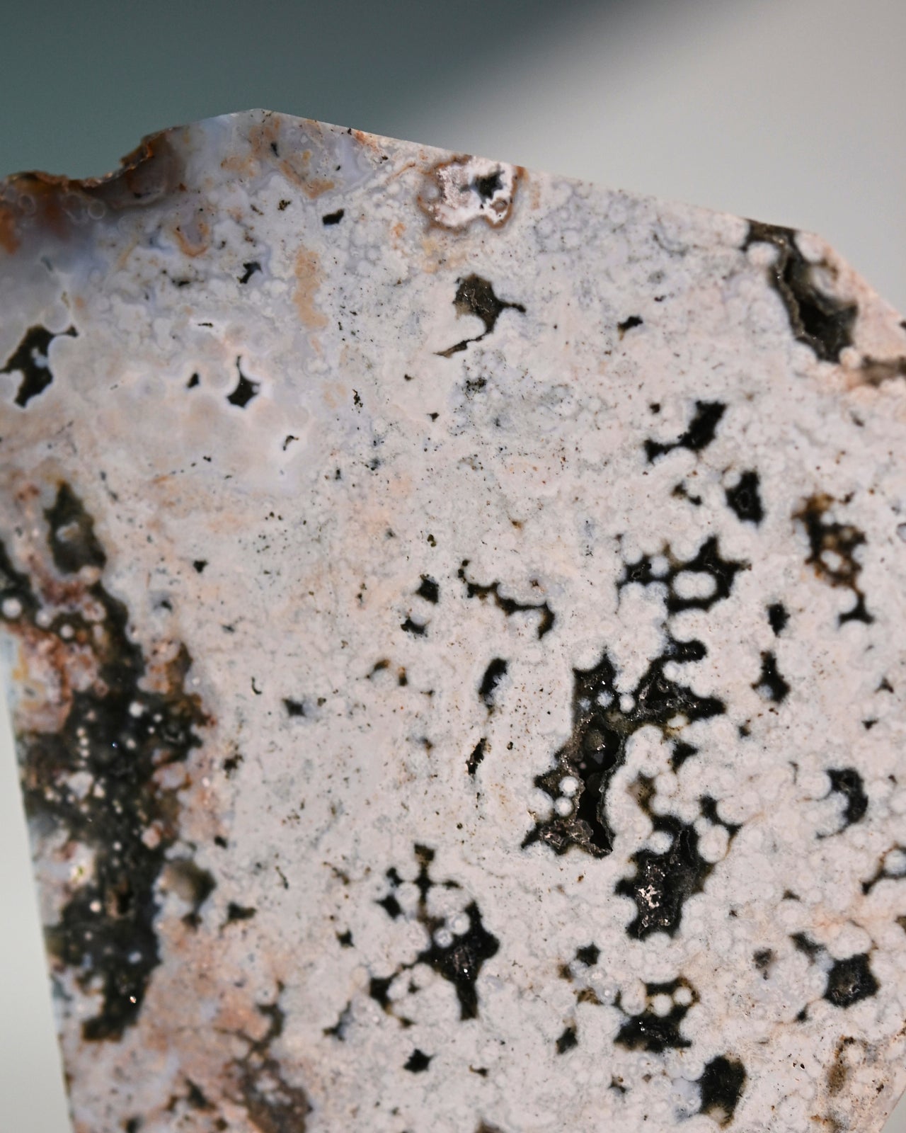 Ocean Jasper Slab 4 in