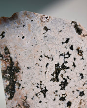 Ocean Jasper Slab 4 in