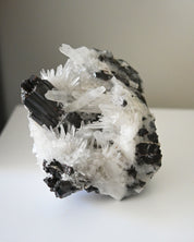 Rare Hubnerite with Quartz 7.7lbs