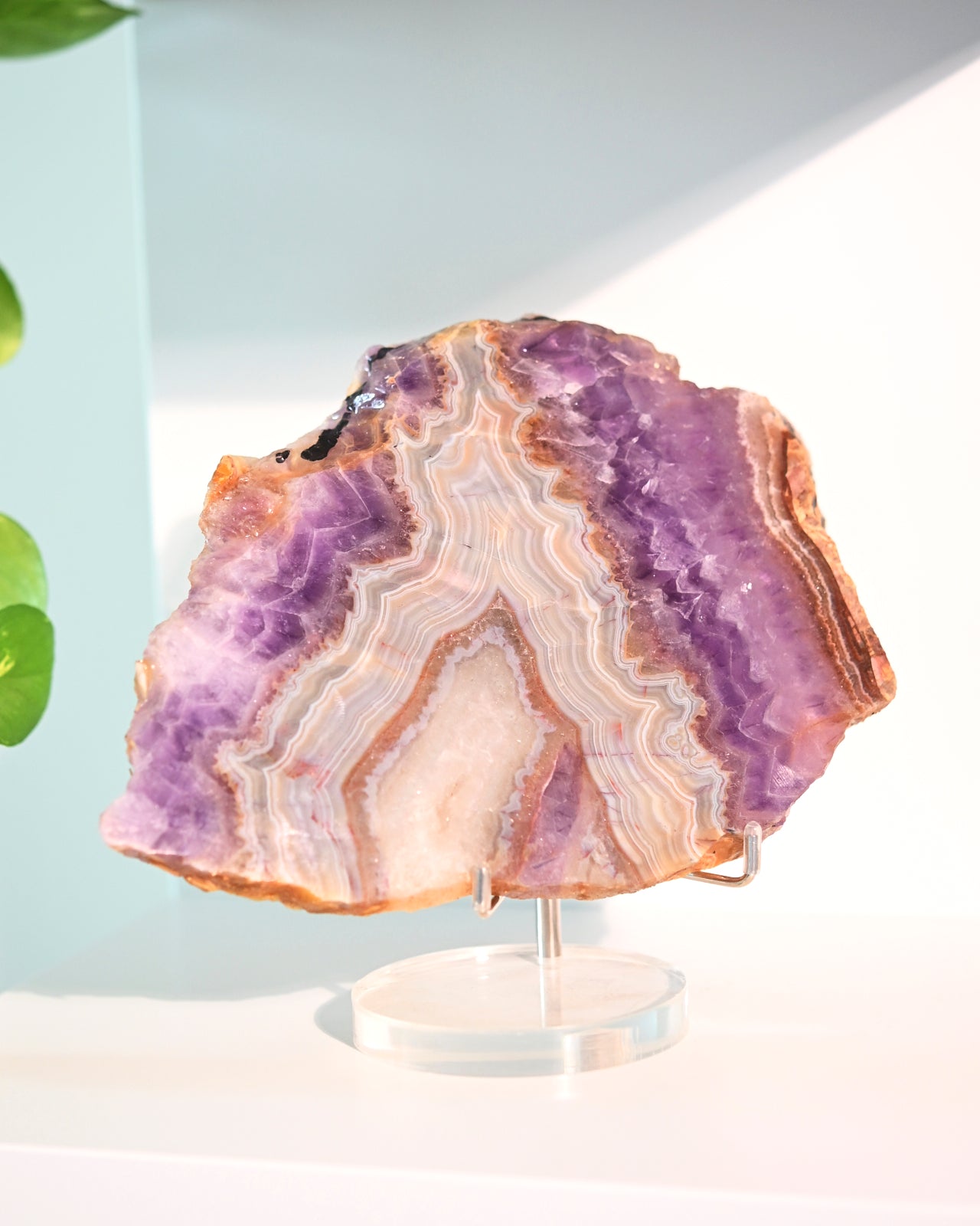 Rainbow Fluorite Slab on Stand 7 inch