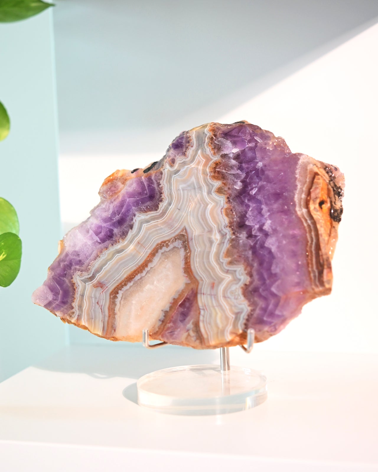 Rainbow Fluorite Slab on Stand 7 inch