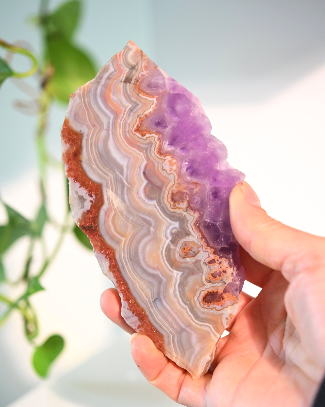 Rainbow Fluorite Slab 5 inch