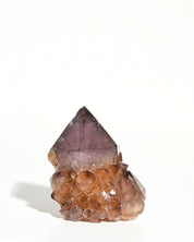 Amethyst Spirit Cactus Quartz Point