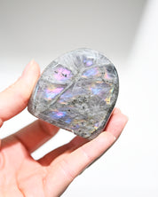 Purple Flash Labradorite Freeform Small